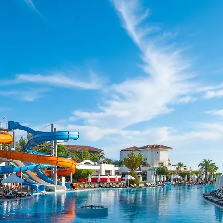 Alba Queen 5* シダ