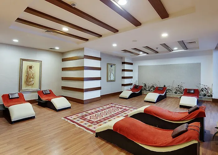 Alba Queen - Ultra Side